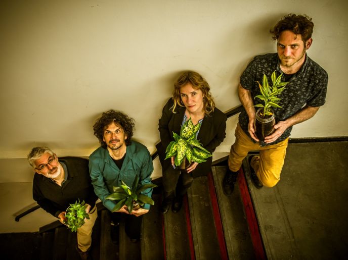 Hermine Deurloo – Een Muzikale Ode aan het Geheime Leven van Planten